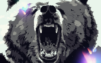 Bear HD Wallpaper