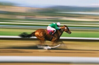 Racing Horses Wallpaper Jockey Horse