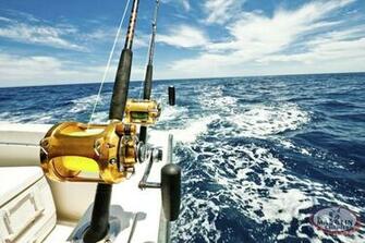 Sport Fish Wallpaper Top Background