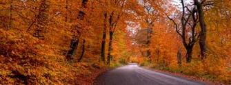 Natural Cover Photo Best Pc Leaf Fall