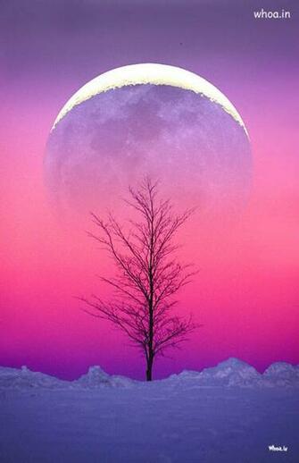 Pink Natural Wallpaper