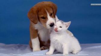 Puppy Love