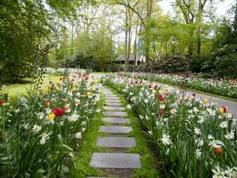 Best Keukenhof Landscapes Scenery Tulpen Wallpaper