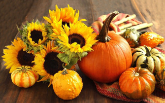 Fall Harvest Wallpaper