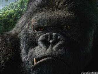 Amazing King Kong HD Wallpaper For Computers Desktops E