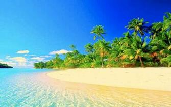Tropical Paradise HD