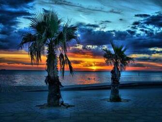 Palm Tree Sunset Wallpaper iPhone 7ual Jpg