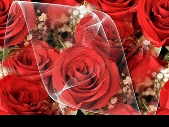 Wallpaper Of Red Roses