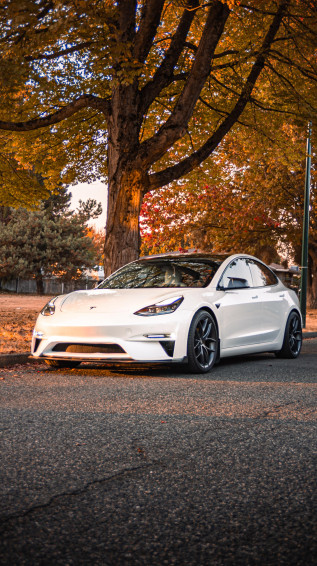 Just Wanna Share Some Autumn Photos With The New Bumper R