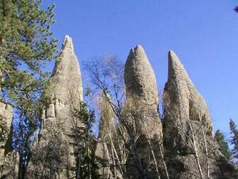 Custer State Park In The Black Hills Of South Dakota Photos