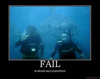 Funny Great White Shark Pictures Tags Fail