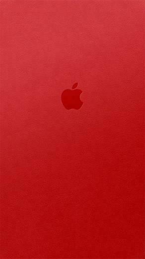 Red Apple Wallpaper Image