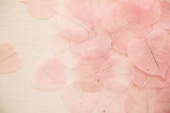 Behang Roze Wallpaper Pink Collection Colourline Bn