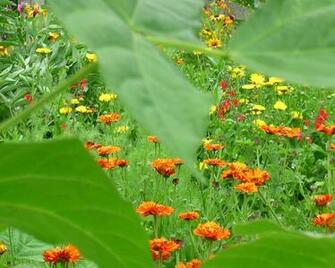 Resolution Awesome Nature Wallpaper High Jpg