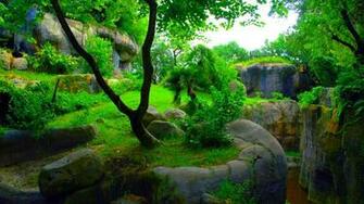 Wallpaper HD 1080p Wallpaper9
