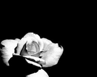 Black And White Background For Desktop Pictures