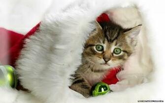 Cute Christmas Wallpaper Amazing