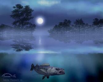 Walleye Wallpaper
