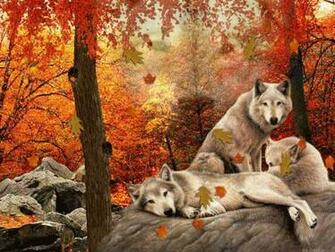 Family Of Wolves Animals Autumn Colours Dogs Leafs Falling