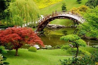 Beautiful Wallpaper Background Most Nature HD