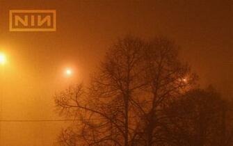 Nin Ghosts Wallpaper N By Madsun