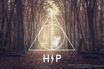 The Bear Jedi Harry Potter Deathly Hipster Desktop Wallpaper