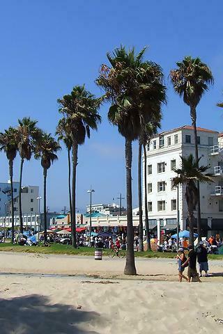 Image And Places Pictures Info Venice Beach