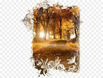 Road International Day Of Forests Desktop Wallpaper Png