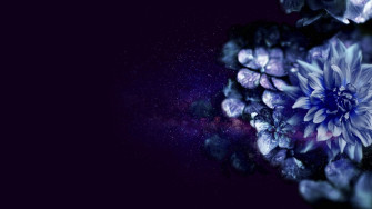 Mystical Flowers 3d Desktop HD Wallpaper