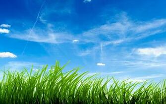 HD iPhone Cute Desktop Wallpaper Colorful Scenery
