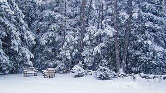 Snow Storm Wallpaper