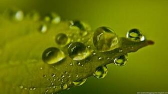 Get Now Desktop Wallpaper For Your iPhone
