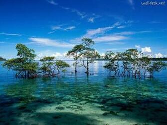 Wallpaper Havelock Island Andaman And Nicobar Islands India Papeis