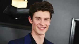 Shawn Mendes Strips Down To His Underwear For Calvin Klein