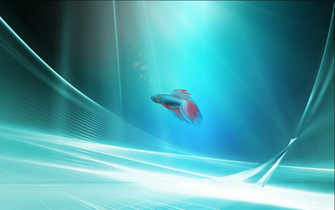 Windows Beta Fish Wallpaper iPad iPhone HD
