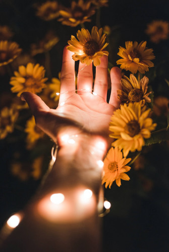 Fairy Lights Aesthetic Wallpaper