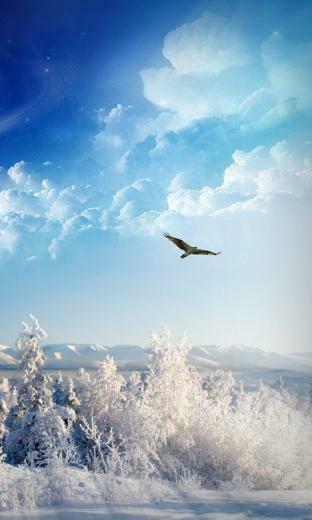 Windows Phone Wallpaper Daily Mobile