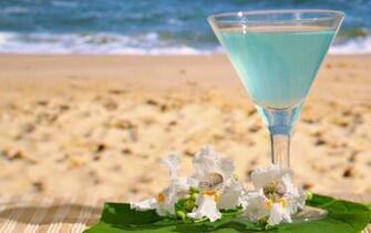 Summer S Tags Seasons Drinks Beach