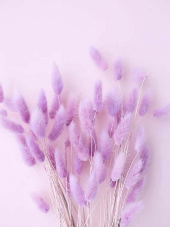 Captivating Pastel Purple Aesthetic Background