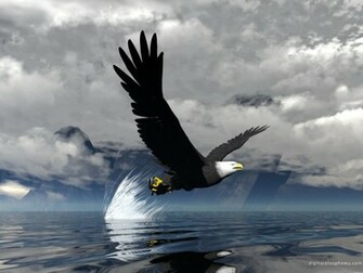 Eagle Wallpaper