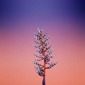 Get Ios S New Wallpaper On Any Phone iPhone Gadget