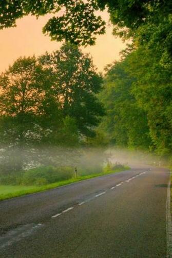 Forest Road iPhone 4s Wallpaper iPad
