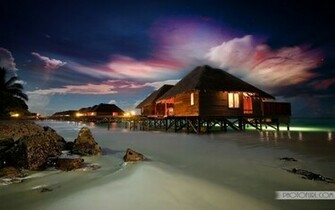 Forum Slideshows Toribash Community