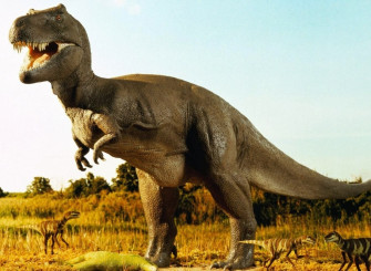 HD Dinosaur Wallpaper Picture For Desktop