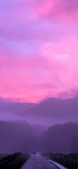 Misty Pink Sunset iPhone Xs Max HD 4k Wallpaper Image