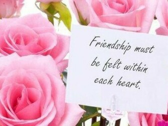 Best Friend Friedship HD Wallpaper