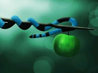 3d Cartoons HD Great Wallpaper Widescreen