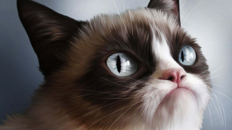 Grumpy Cat Background Wallpaper