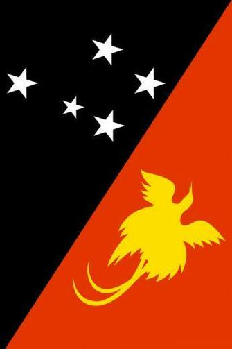 Papua New Guinea Flag iPhone Wallpaper HD