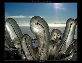 Frozen Timeless By Wb Skinner